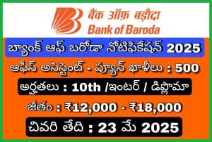 బ్యాంక్ ఆఫ్ బరోడా భర్తీ నోటిఫికేషన్ 2025